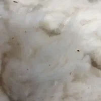 پنبه و پشم گوسفند،کرک پتو