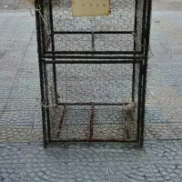 قفس پرنده