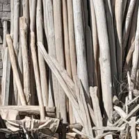 خریدار چوب.  درخت|خدمات باغبانی و درختکاری|شاهین دژ, |دیوار