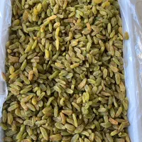 کشمش سبز کاشمر|خوردنی و آشامیدنی|تهران, بوستان چیتگر|دیوار