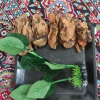 سنگ دراگون با یک عدد گیاه پارچه ای