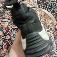 کفش خارجی|کیف، کفش، کمربند|تهران, هروی|دیوار