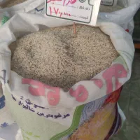 برنج طارم فجر|خوردنی و آشامیدنی|اصفهان, شیخ اشراق|دیوار