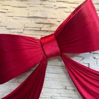 پاپیون مجلسی مخمل درجه ۱