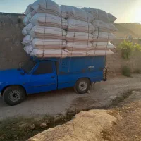کاه گندم سفید تراکتوری|خدمات باغبانی و درختکاری|کوهدشت, |دیوار