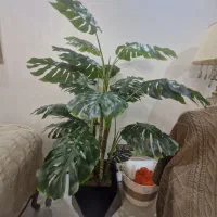 برگ انجیری|گل مصنوعی|تهران, کرمان|دیوار