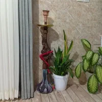 قلیان دوسیب شلیل