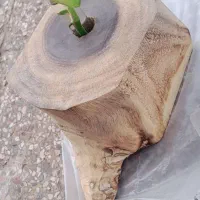 گلدان تزیینی|گل مصنوعی|اهواز, شهدای انتظامی|دیوار