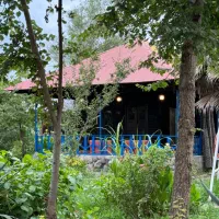 کلبه بومگردی در قلب بهشت|اجارهٔ کوتاهمدت ویلا و باغ|رشت, پسیخان|دیوار