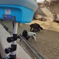 UTM  سند نقشه برداری|خدمات پیشه و مهارت|جوادآباد, |دیوار