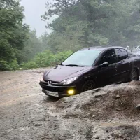 پژو 206 تیپ 5 V8 مدل 91 خاص و چشم گیر|خودرو سواری و وانت|فسا, |دیوار