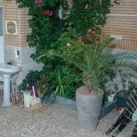 دربست ویلایی ۲ طبقه|اجارهٔ خانه و ویلا|قم, زنبیل آباد|دیوار