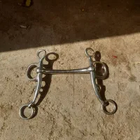 دهنه اسب|اسب و تجهیزات اسبسواری|ریگان, |دیوار