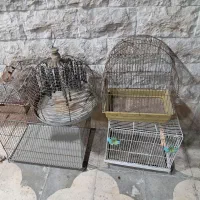 قفس پرنده تعاونی