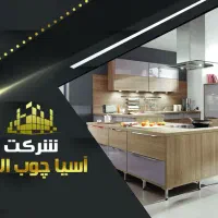 استخدام نیروی جوان