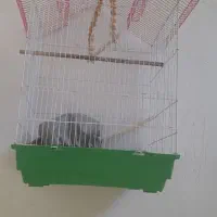 قفسه پرنده نو دو عدد ۱۸۰۰