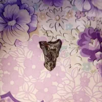 سنگ قدیمی|کلکسیون اشیاء عتیقه|کارون, |دیوار