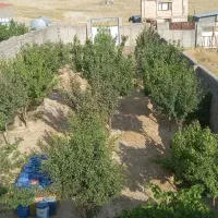 زمین چهار دیواری ب همراه اتاق ۳۰متری