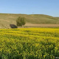 فروش زمین در اردبیل