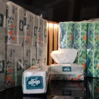 دستمال کاغذی و محصولات پلاستیکی ب قیمت تولیدی|عمدهفروشی|رامسر, |دیوار