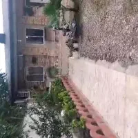 ویلانقلی۱۸۰/mتمیزوشیک سراوان ب فومن لاکان|فروش خانه و ویلا|رشت, دیلمان|دیوار