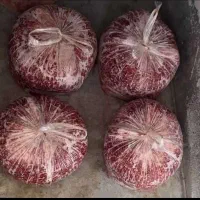 مایه کوبیده. مایه کباب .گوشت چرخورده|خوردنی و آشامیدنی|تهران, یافت آباد جنوبی|دیوار