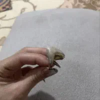 فروش ۲۴ گرم ۳ درصد بالای تابلو|جواهرات|قزوین, |دیوار