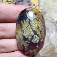 عقیق شجر اصل و آبدار