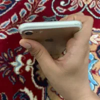 ایفون هفت|موبایل|زاهدان, |دیوار