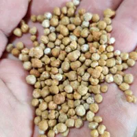 کود پلت مرغی ،ورمی کمپوست وگوگرد معدنی|خدمات باغبانی و درختکاری|رباط‌کریم, آدران|دیوار