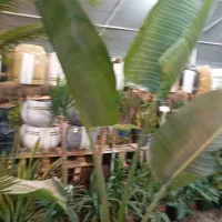 فروش-استخراج-رمز-ارز