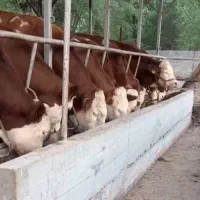 انتخاب درست جهت نگهداری
