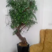 درخچه مصنوعی.