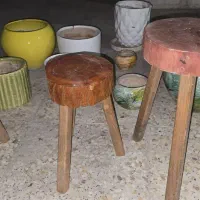 گلدان و سه پایه|گل و گیاه طبیعی|اهواز, بهارستان|دیوار