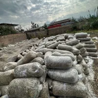 خوراک دام ذرت علوف ای گاو گوسفند|عمدهفروشی|مزرعه کتول, |دیوار