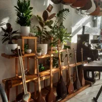 سنتور سه تار تنبور تار|سازهای سنتی|مینودشت, |دیوار