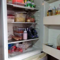 حراج|سایر لوازم برقی|پرند, فاز ۶|دیوار