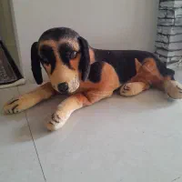 تعدادی اسباب بازی|اسباب‌‌بازی|خوی, |دیوار