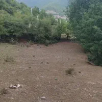 زمین۴۰۰متری کندلوس
