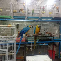 خرید و فروش