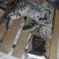 با کد دعوت شما 75 هزاتومان دریافت میکنید