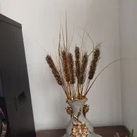 گل سانسوریا و باکس گل و وو|گل و گیاه طبیعی|سهند, |دیوار