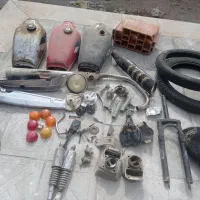 معاوضه پرنده باوسایل....|پرنده|بردسیر, |دیوار