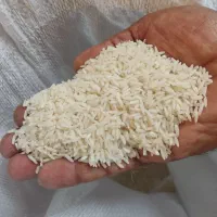 برنج هاشمی درجه یک