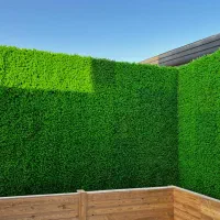 پخش چمن مصنوعی ،فنس چمنی و گرینوال|مصالح و تجهیزات ساختمان|سیرجان, |دیوار