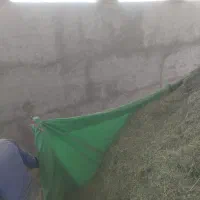 فروش یونجه خشک خورد شده