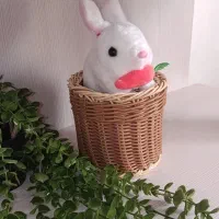 سبد های حصیری|سفره، حوله، دستمال آشپزخانه|شاهرود, |دیوار