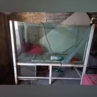 اکواریوم ماهی