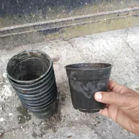 گلدان نشا پلاستیکی 10