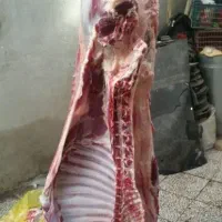 خرید گوسفندقصاب سیار درمحل نیم ساعتی